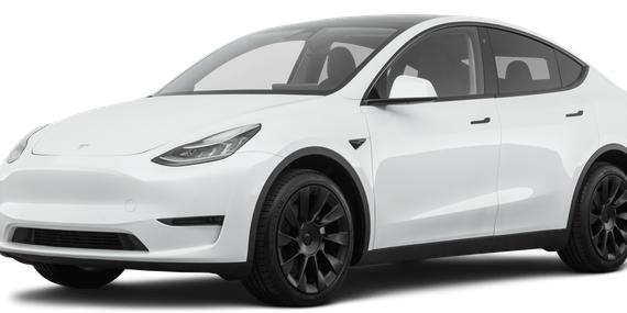 TESLA MODEL Y 2021 5YJYGDEE6MF082964 image